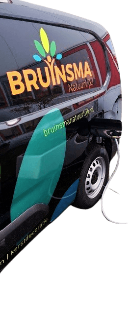 Elektrisch rijden Bruinsma Natuurlijk